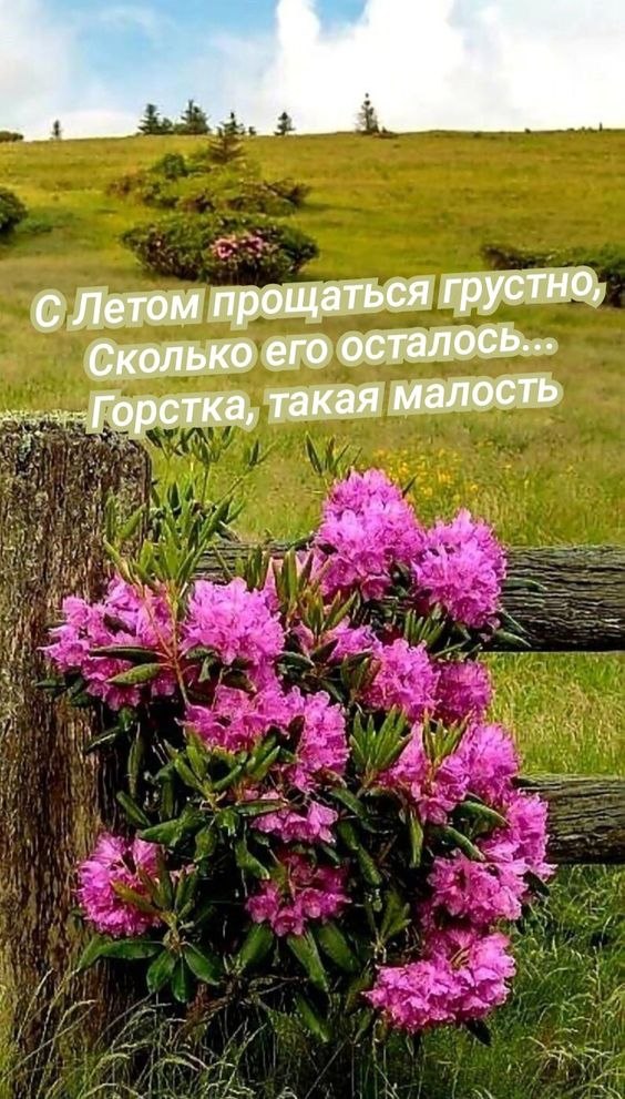   - 29  2023  17:14