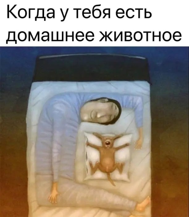   - 1  2023  10:44