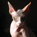  , -, 36  -  21  2023    