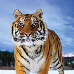 ���� ������, �����-���������, 23 ���� - ��������� 22 ����� 2023