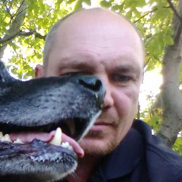 ���, ������, 50 ���