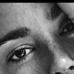 �����, ������ ��������, 52 ����