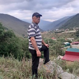 ������, ���������, 65 ���