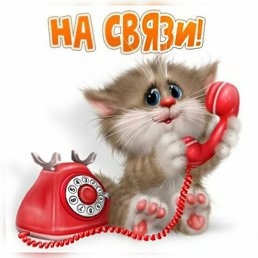 ���������, ������, 62 ����