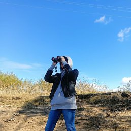 �������, ���������, 53 ����