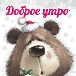 ���������, ���������, 43 ����