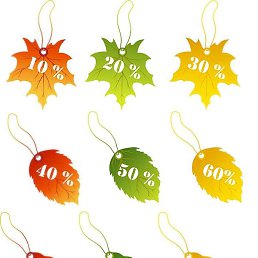 �����, �����-���������, 35 ���