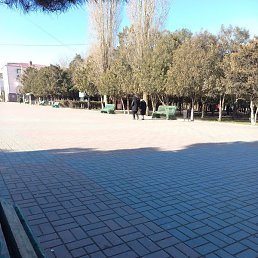 ���, ������, 33 ����