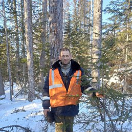 �����, ���������, 44 ����