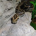 ���� �����, ������������, 39 ��� - ��������� 7 �������� 2023 � ������ ���� ����������