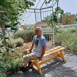 Vasili, ���������, 66 ���