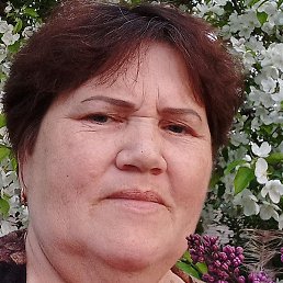 �����, �������, 54 ����