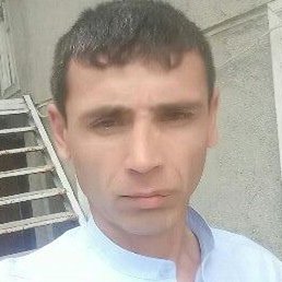 ����� ������, �����, 37 ���