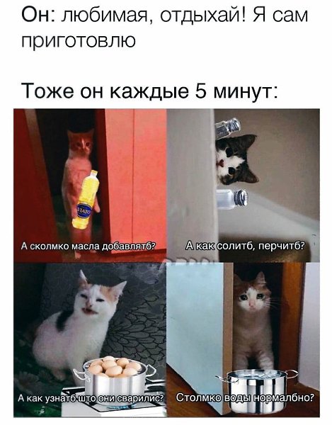   - 19  2023  14:13