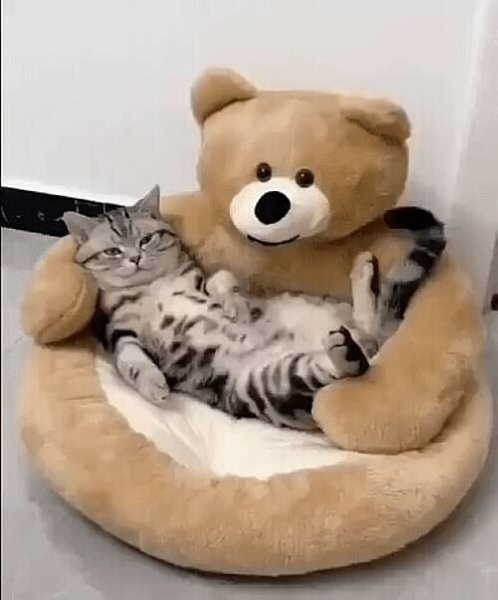     !)