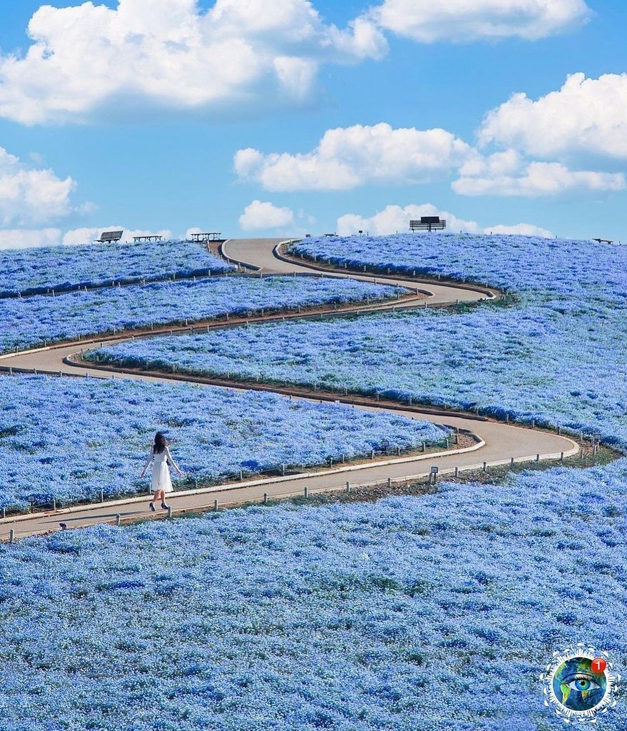  caee, aec, oe ooe a o, a  o e a.   ca, o o oe eoa  ... - 2