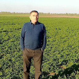 Marat, ����, 54 ����