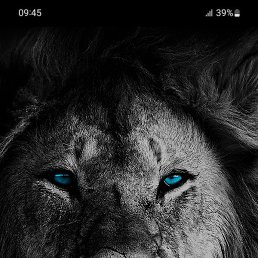 ����, ������, 33 ����