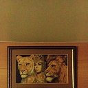 ���� ����, ��������, 63 ���� - ��������� 30 ���� 2023 � ������ ���� ����������