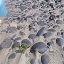 ���� Helena, �������, 72 ���� - ��������� 2 ������� 2023 � ������ ���� ����������