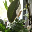 ���� �������, ��������, 60 ��� - ��������� 2 ���� 2023 � ������ ���� ����������