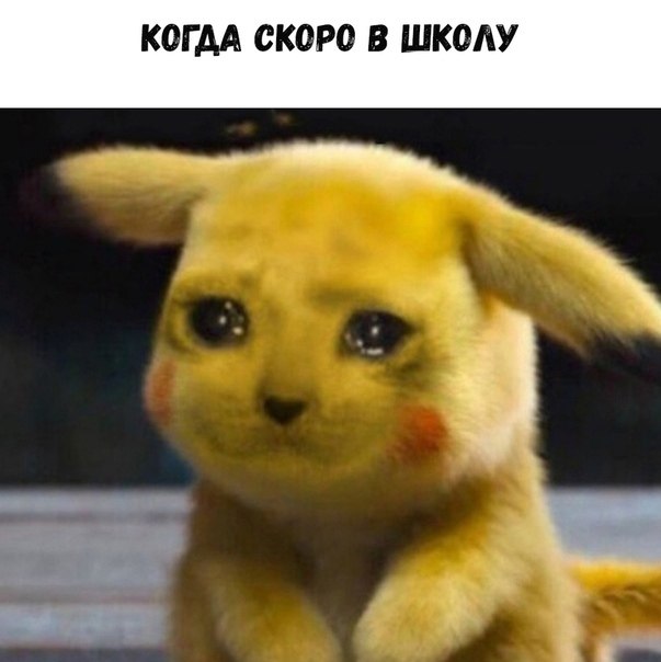 ? ,  ! - 19  2023  15:41