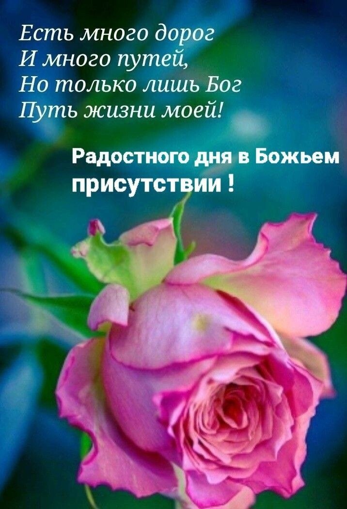  - 6  2023  11:03