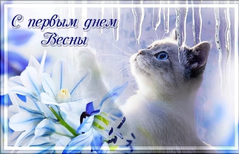    - 1  2023  12:56