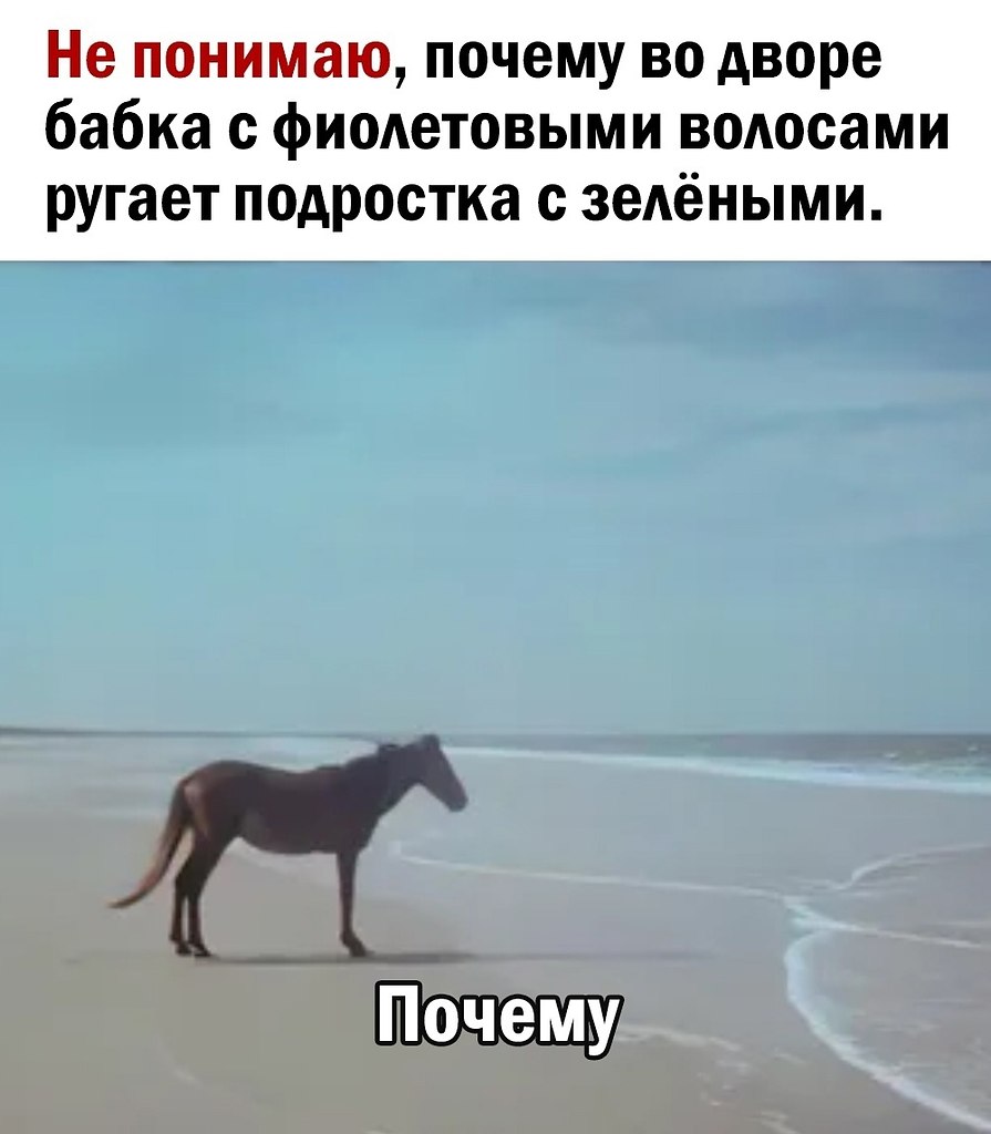 Вы не понимаете это другое | Эгоист | Фотострана | Пост №2614502891