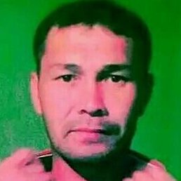 �������, �����, 44 ����