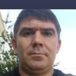 ���������, �����, 44 ����