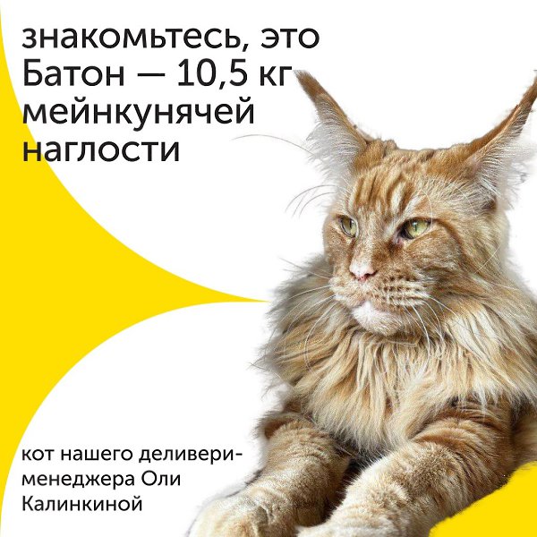 Мяу! На связи #пушистик_недели! Мы рады, что эта уютная рубрика вам понравилась, а у наших коллег ...