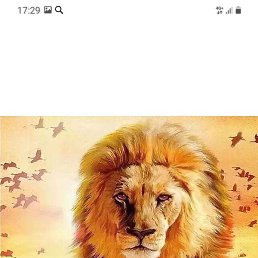 �����, ����, 35 ���