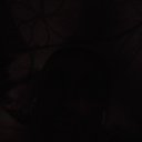 ���� ������, �������, 44 ���� - ��������� 5 ����� 2023 � ������ ���� ����������