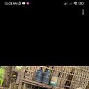 ���� Mackoy, ��������, 38 ��� - ��������� 25 ������� 2023