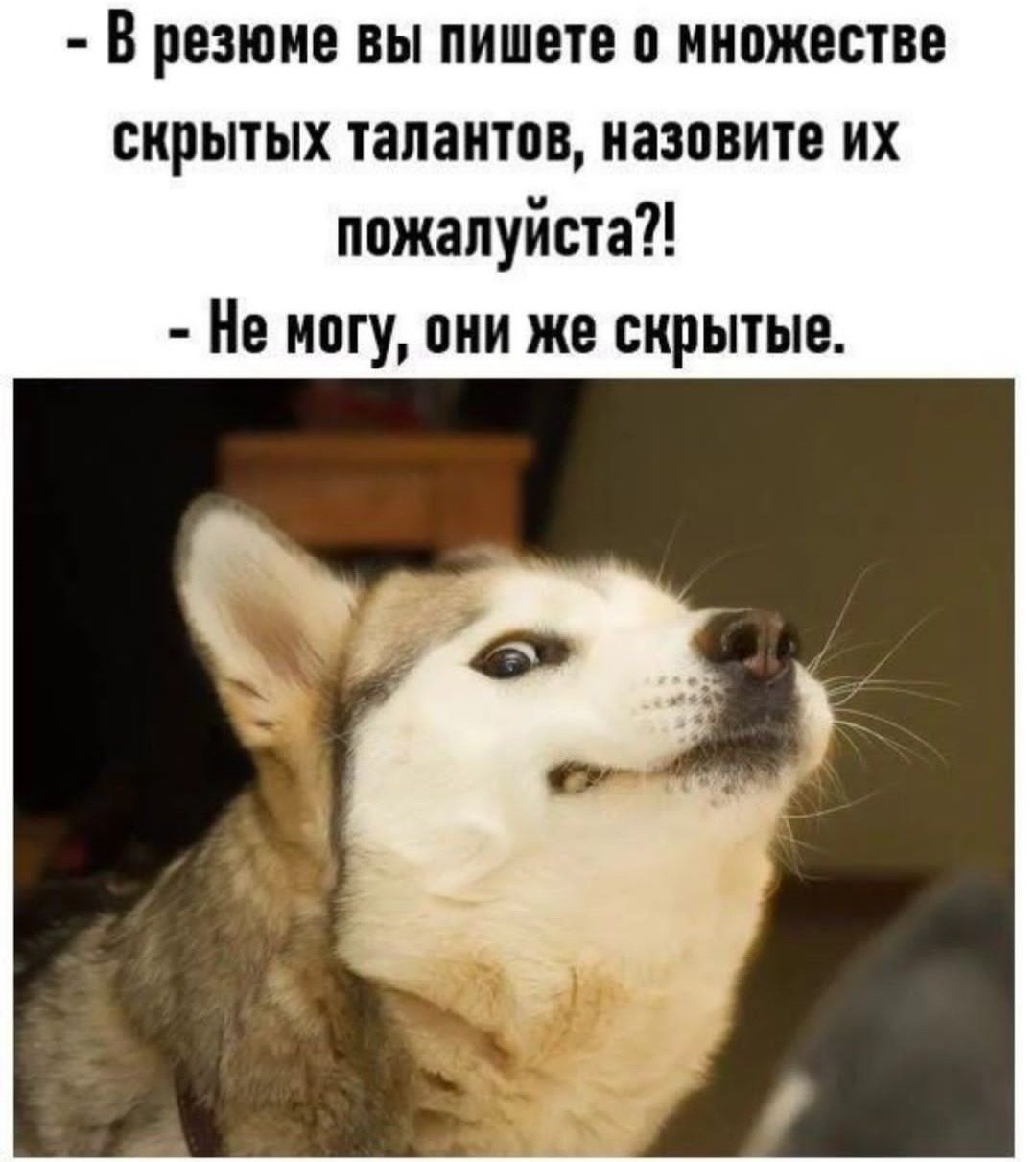  - 7  2023  19:58