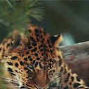 ���� �����, ����, 33 ���� - ��������� 7 ����� 2023 � ������ ���� ����������