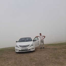 �����, ������, 38 ���