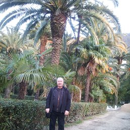 ���� ������, ������, 62 ���� - ��������� 14 ������� 2023