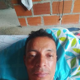 Daniel, �������, 41 ���