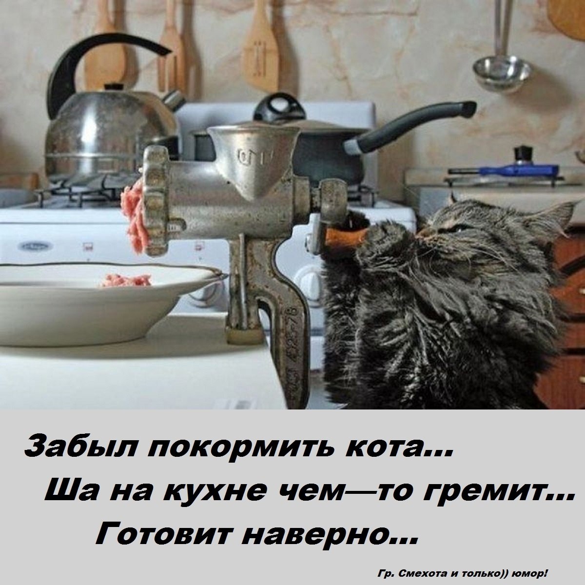  - 12  2023  15:07