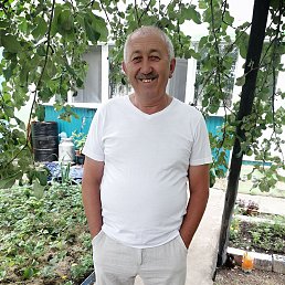 ���� �������, ������, 62 ���� - ��������� 7 �������� 2023