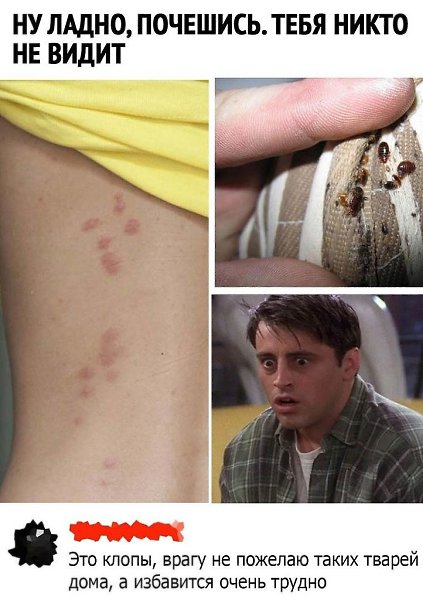+1 