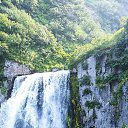 ���� ������, ���������, 49 ��� - ��������� 31 ���� 2023 � ������ ���� ����������