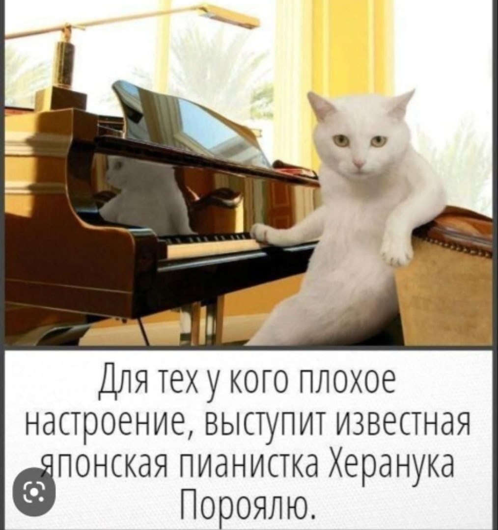  - 19  2023  12:49
