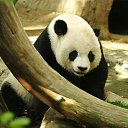 ���� ���������, ������, 36 ��� - ��������� 12 ����� 2023