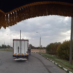 ������, �����, 50 ���