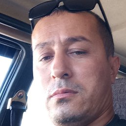 �����, �������, 41 ���