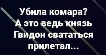 - 27  2023  12:41