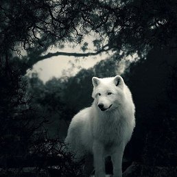 ���� Dav, ������, 80 ��� - ��������� 18 �������� 2023